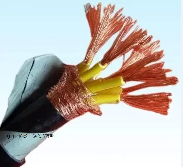 ZR-DJFEPPVR-2