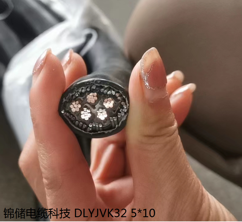 WDZ-RYJ-105℃ 0.65/1.1KV 1*10